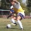 ODP action, May 2001